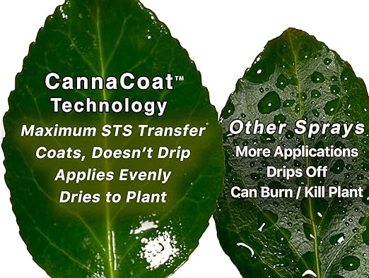 STS Feminized Seed Making Spray 10 oz – No Mixing Required | Enhanced with Sticky Organic Canna_Coat for Maximum Effectiveness