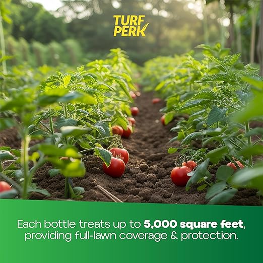 Turf Perk Garden Perk All Natural Liquid Solution – 32 fl oz Hose-End Spray – Concentrate Makes Up to 32 Gallons – Plant &amp Vegetable Nutrient Formula – Lawn &amp Garden Use – Safe for Pets