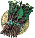Yu Choy Sum Seeds - Kosaitai - Hon Tsai Tai - 1 Oz ~8600 Seeds - Non-GMO Heirloom - Asian Garden Vegetable