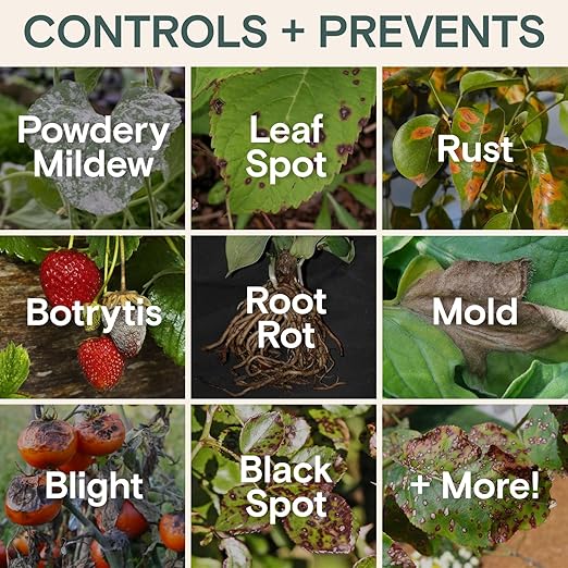Organic Liquid Plant Food &amp Fertilizer – Indoor/Outdoor for Houseplants Vegetables &amp Flowers Monstera &amp Money Tree – OMRI Listed Pollinator Safe – Easy Weekly Mix (Nutrition &amp Healt