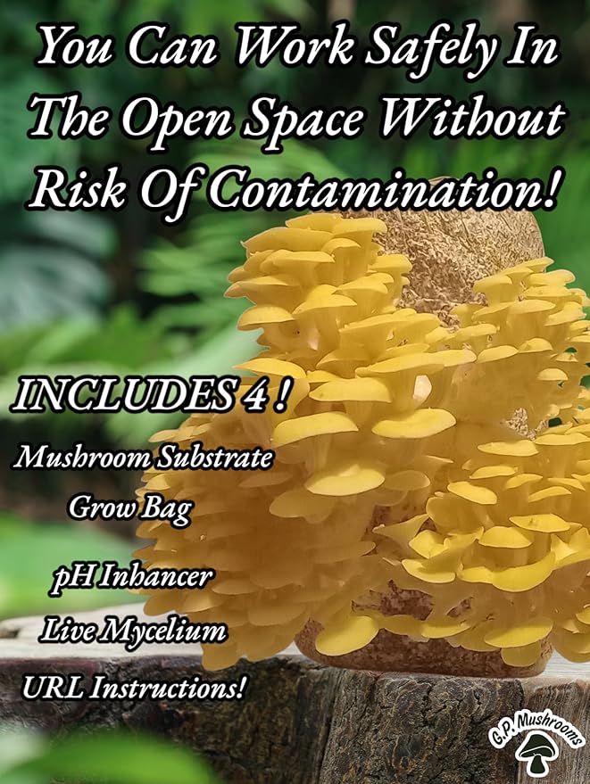 Four All in One Mushroom Grow Kits with Yellow Blue Florida and Pink Oyster Complete Cultivation Set