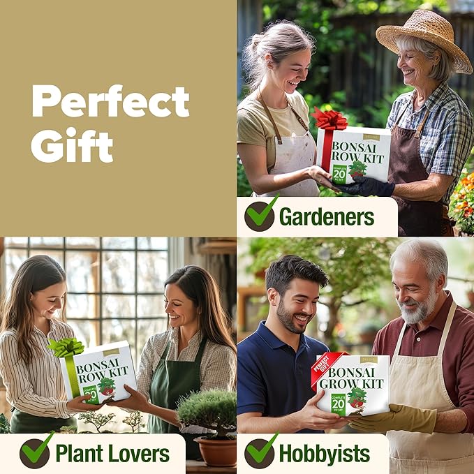 2000+ Vegetable Seeds for Planting - HOME GROWN Bonsai Tree Kit – Easy to Grow 4 Species of Bonsai