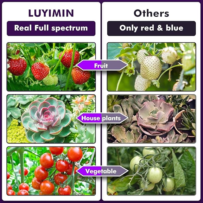 LED Grow Light