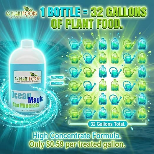 Ocean Magic Sea Minerals 32 fl. oz.
