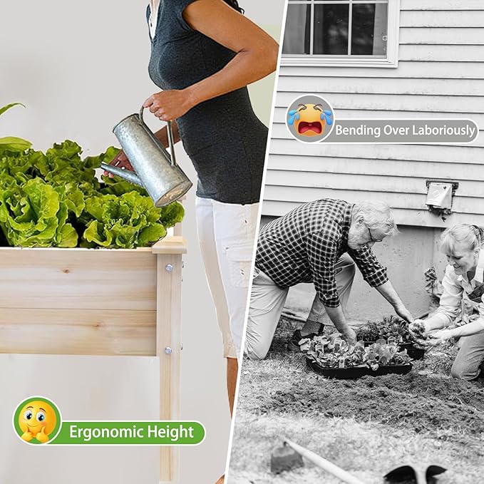 New Upgrade Wooden Raised Garden Bed 48x24x31IN Elevated Reinforced Large Planter Box with Legs for Vegetable Flower Herb Outdoor Standing Growing Bed for Gardening/Backyard/Balcony Liner Included