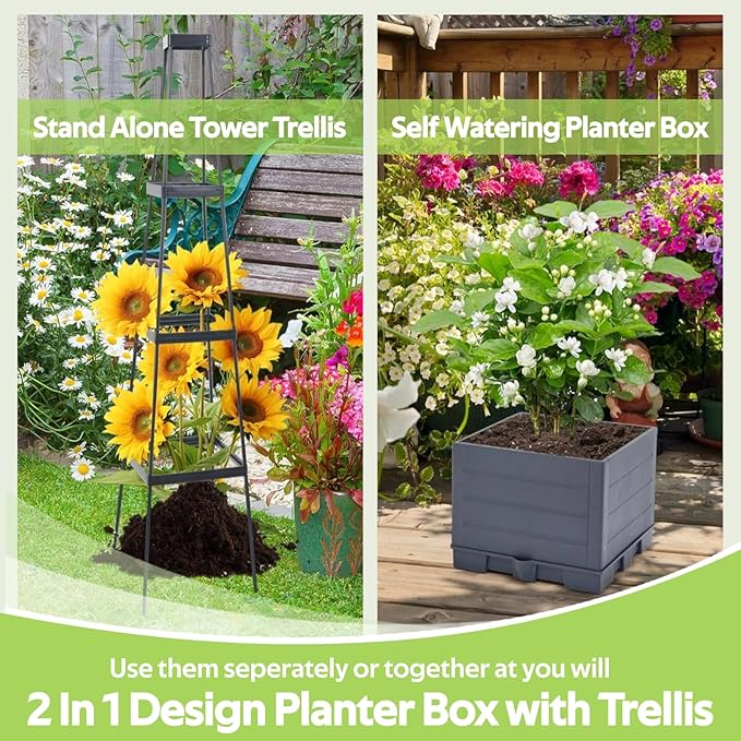 2 Pack Tomato Planter Box with Trellis for Climbing Plants Outdoor - Self Watering Raised Garden Bed Tomato Pot - 55 Tomato Cage Garden Trellis Plant Support for Vine Vegetables Herbs Flowers Indoor