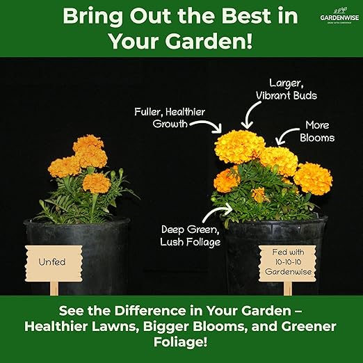 10-10-10 Plant Fertilizer Slow Release - 10 10 10 All Purpose Granular Garden Fertilizer for Vegetables Tomato Arborvitae Shrubs Rose Flowers Fruit Fig Trees (4 QUARTS)