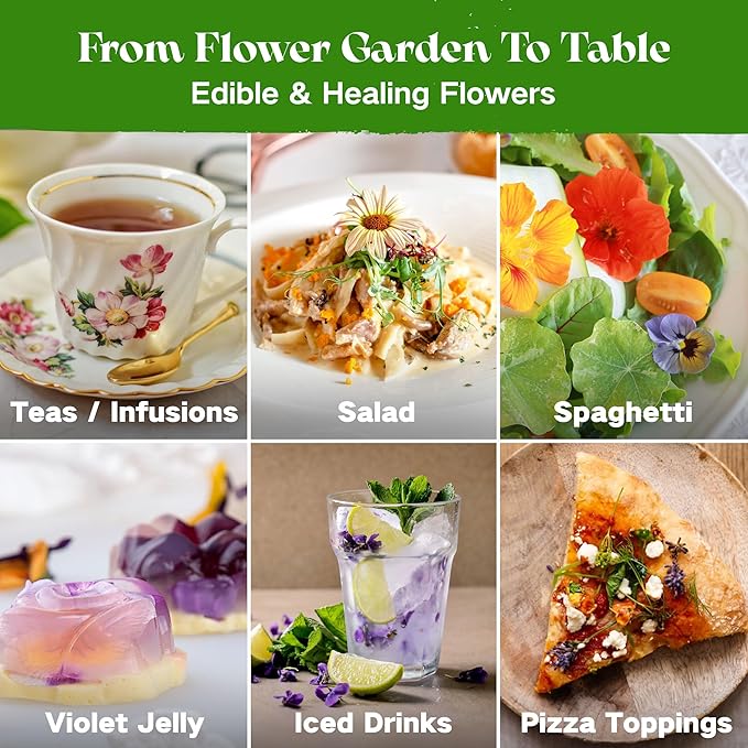 Lush&ampDew Edible Flower Seed Bank with Almanac Gardening Gifts for Women Men 32 Types 30000+ Non-GMO Heirloom Seeds for Planting Culinary Flowers Survival Seed Kit Annual Perennial Zone 3-11