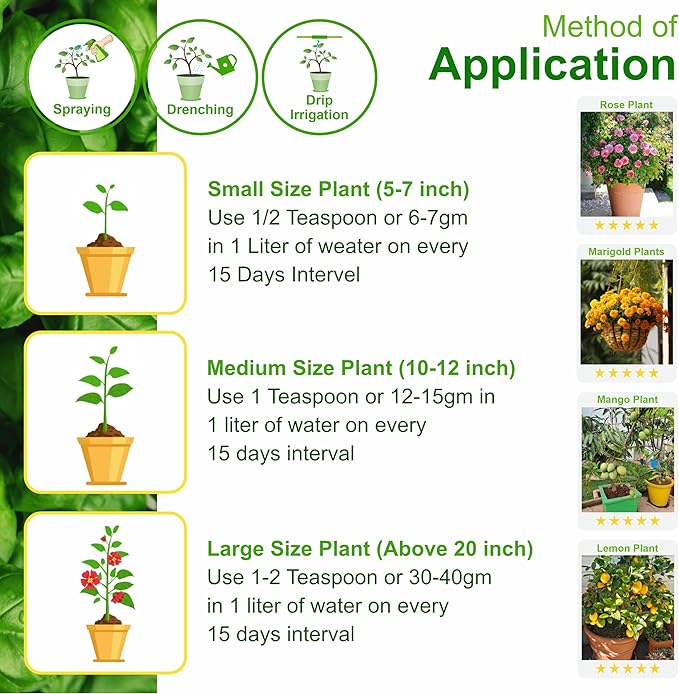 Go Garden Npk 19 Fertilizer Powder for All Plants Growth Plant Food Growth for All Types of Plants and Gardening Purpose 950Gm