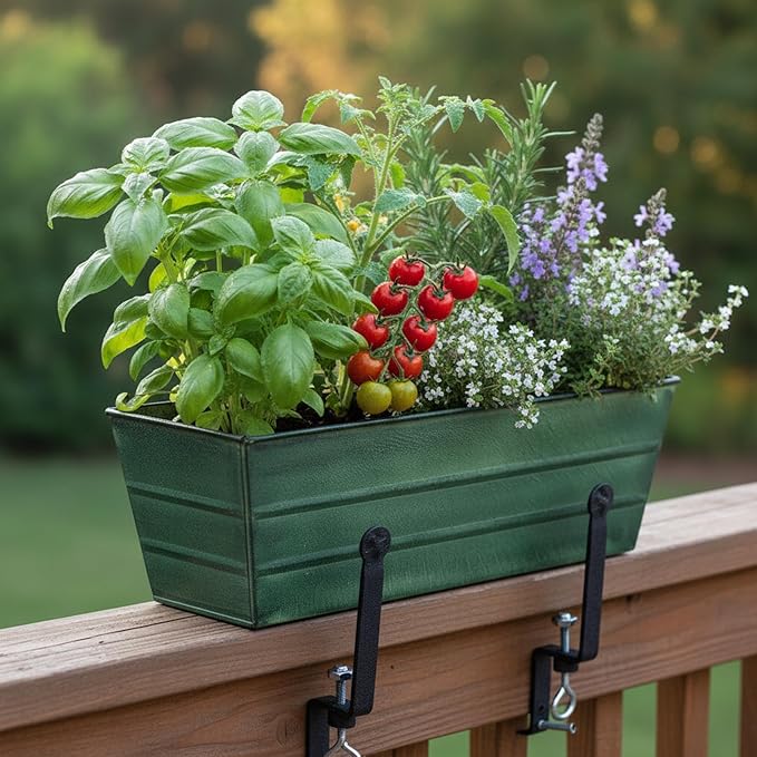Bloom Box Garden Growing Kit Medium Green with Clamp-On Brackets – Instant Container Garden for Flowers Herbs Greens &amp Strawberries