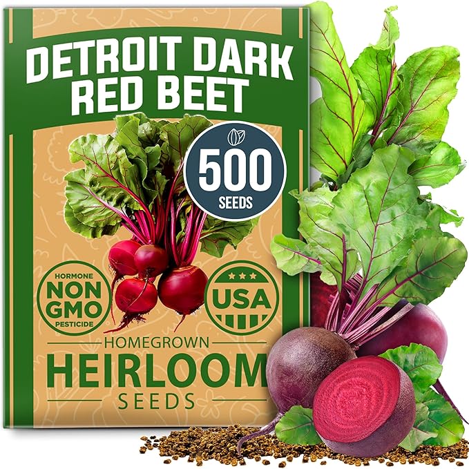 HOME GROWN 𝗨𝗦𝗔 𝗣𝗥𝗘𝗠𝗜𝗨𝗠 Jalapeno Pepper Seeds &amp Beefsteak Tomato 300 &amp Persian Cucumber 50 &amp Detroit Dark Red Beet - 500