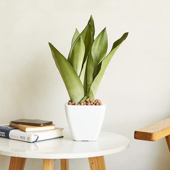 2 Pack Smart Self Watering Planter Pot for Indoor and Outdoor White Square Cone