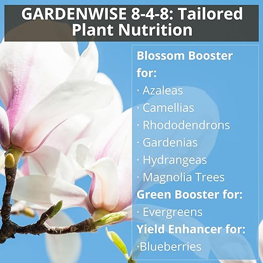 8-4-8 Acidic Fertilizer for Azaleas Camellias (Camelia) Hydrangeas Blueberries Gardenias Magnolia Trees Evergreens and Rhododendrons - Ideal Iron-Rich Plant Food (2 QUARTS)