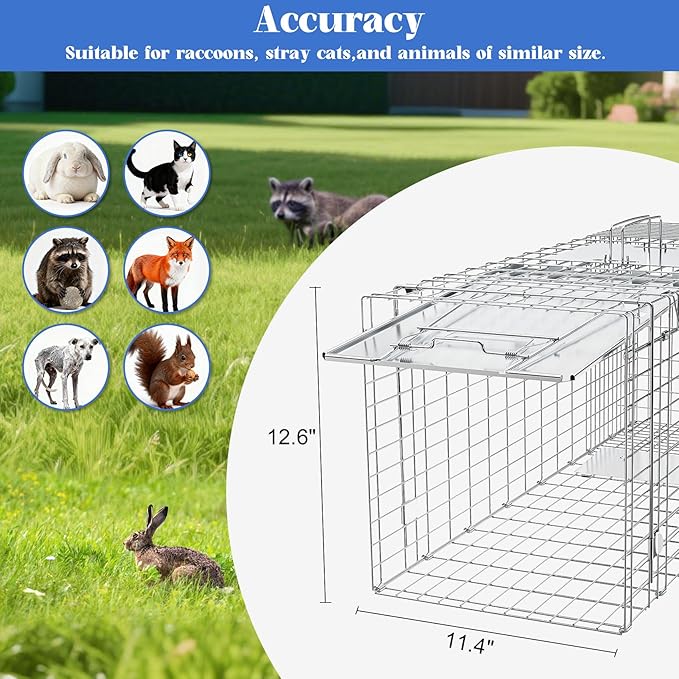 Humane Live Animal Trap Heavy Duty Folding Raccoon Traps Cage for Cat Squirrel Skunk Raccoon Fox Catch and Release Large Size 31.1 * 11 * 12.6 Inch