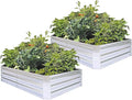Galvanized Raised Garden Beds for Vegetables Large Metal Planter Box Steel Kit Flower Herb (6 x 3 x 1 ft * 2 Pack Galvanized)
