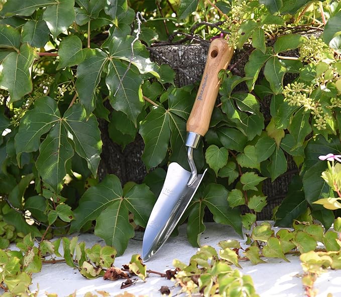 Green Tidy Tray with Stainless Steel Transplanter and Scoop – Durable Bamboo Handle Garden Tool Set