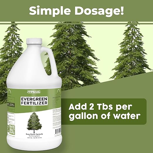 Evergreen Tree Fertilizer – Liquid Plant Food for Rich Green Needles Stronger Roots &amp Healthy Year-Round Growth 1 Gallon
