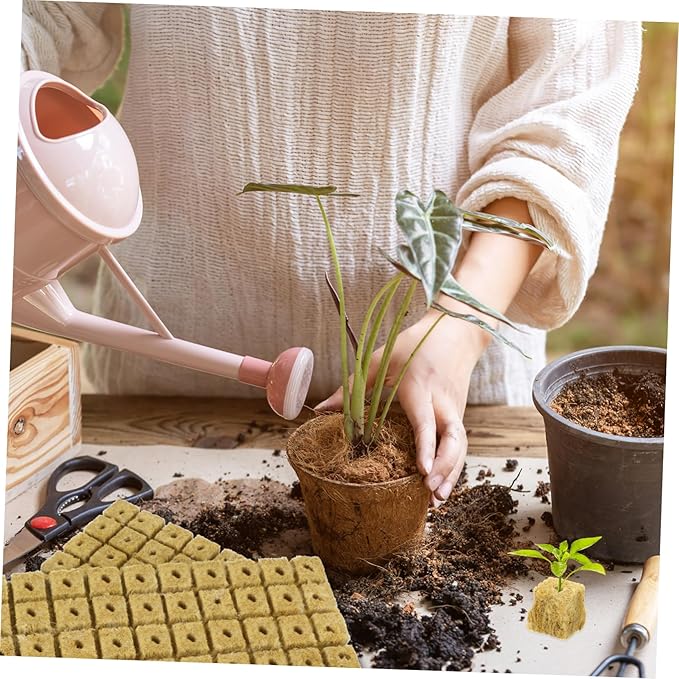 100Pcs Hydroponic Plant Starter Cubes for Soilless Cultivation Nutrition Cubes Cuttings for Indoor Garden Systems