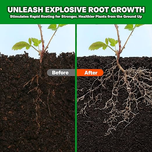Plant Propagation Drops Prop Solution for Healthier Roots &amp Recovery of Struggling Houseplants 8oz.