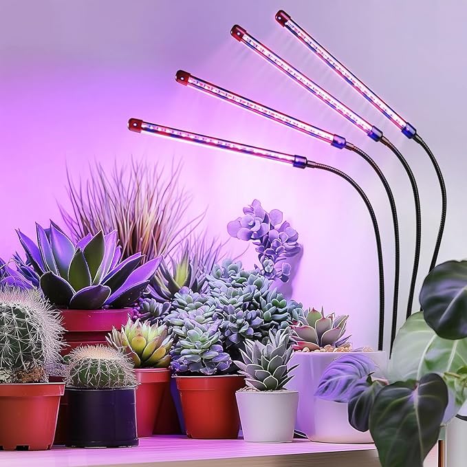 Grow Lights for Indoor Plants - Red &amp Blue Spectrum LED Plant Light with Auto 3/9/12H Timer 10 Dimmable Levels &amp Sturdy Gooseneck - Ideal for Herbs Succulents Houseplants in Home/Office (1