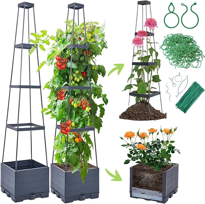 2 Pack Tomato Planter Box with Trellis for Climbing Plants Outdoor - Self Watering Raised Garden Bed Tomato Pot - 55 Tomato Cage Garden Trellis Plant Support for Vine Vegetables Herbs Flowers Indoor