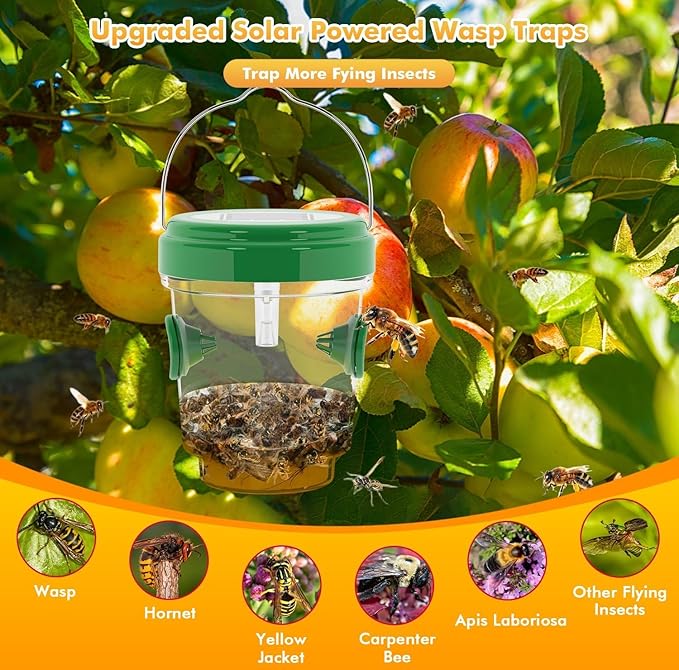 Wasp Traps for Hunting Wasps Bees Hornets Insects Yellow Jacket Traps Wasp Trap Catcher Reusable Solar Powered Hanging for Outdoor 4 Packs