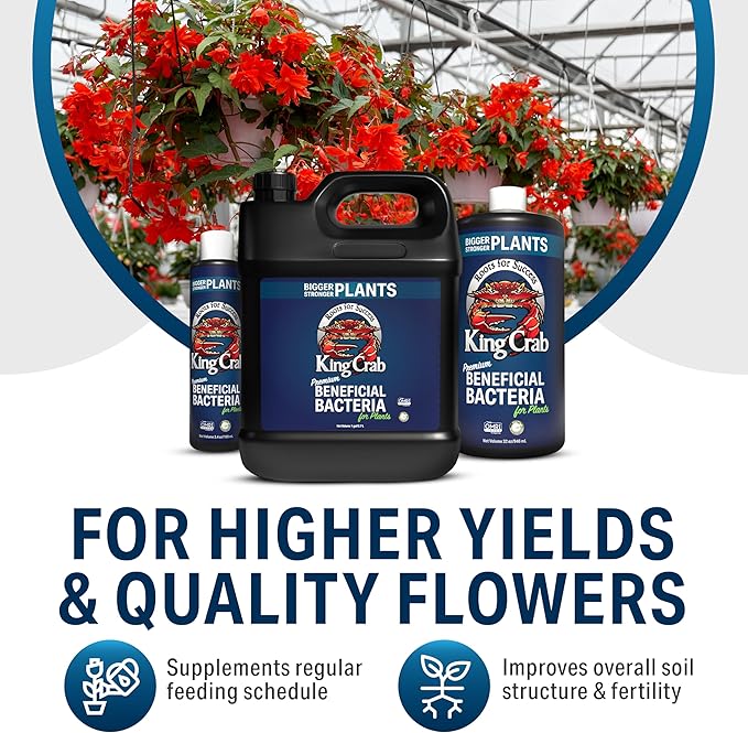 King Crab Instant Compost Tea Root Stimulator for Plants Ultra Concentrated OMRI Organic Bacteria 275 Million Organisms per ml Roses Tomatoes Houseplants Soil Conditioner Soil Microbes