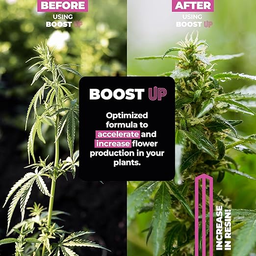 Bio Flowering Fertilizer Boost UP 1L | Bio Stimulator for Plants and Crops | Flower Production Booster | Compact and Resinous Flowers and Fruits