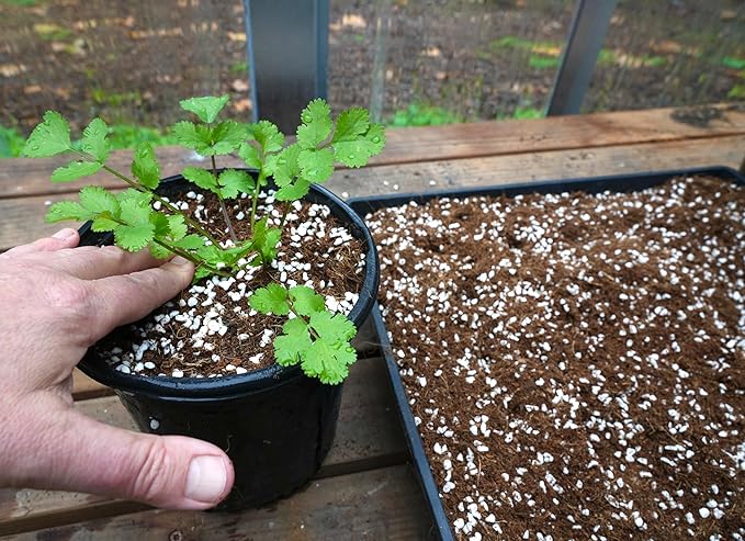 Happy Trees Coco Coir and Perlite 70/30 Growing Medium Potting Mix Seed-Starting Premium Quality Triple-Washed for Low Salt/EC pH Balanced Loose Coconut Fiber Peat-Free 50L (1.8 cu.ft.)