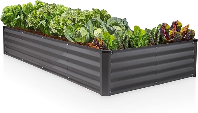 Plant &amp Plot Galvanized Raised Garden Beds Outdoor // 8×4×1 ft Planter Raised Beds for Gardening Vegetables Flowers // Large Metal Garden Box // Patented Tool-Free Design (Dark Gray)
