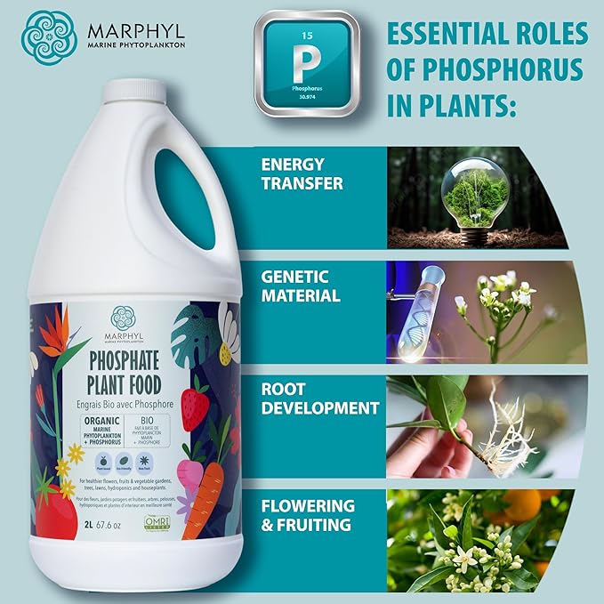 MARPHYL Organic Liquid Phosphate Soil Enhancer – Phosphorus Fertilizer for Root Development &amp Bloom Support Ideal for Garden Flowers Vegetables Succulents &amp Hydroponics