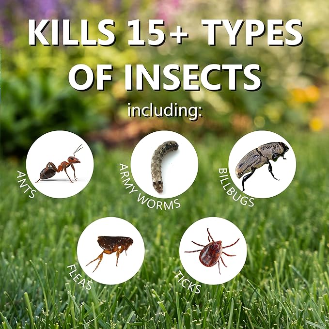 Jonathan Green (12011) Summer Survival Insect Control with Lawn Fertilizer - 13-0-3 Grass Fertilizer (5000 Sq. Ft.)