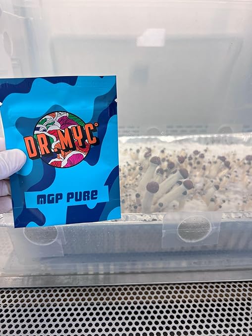DRMyc.com - MGP Pure - Growth Promoter for Mushrooms. Our Substrate Probiotic Increases Colonization Speed Fruiting Size + Faster Flushes - (10 Grams)