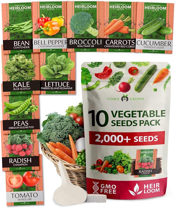 2000+ Vegetable Seeds for Planting - Bonsai Tree Kit - Gifts for Men &amp Women