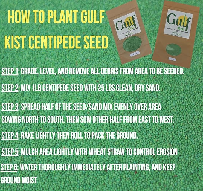 Centipede Grass Seed for a Dense Green Lawn NO Mulch 1 lb Coated Seeds Sun and Moderate Shade Tolerant Lawn Seeding and Turf Patch Repair Southern Southeast US Low Fertilizer Low Maintenance