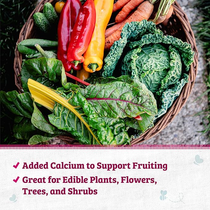 Back to the Roots Organic Blood Meal with Gypsum (3lb Pack of 4)
