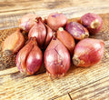 10 Bulbs Ready to Plant Sweet Fragrant French Jersey Shallot Bulb Heirloom for Planting Gardening New Crop