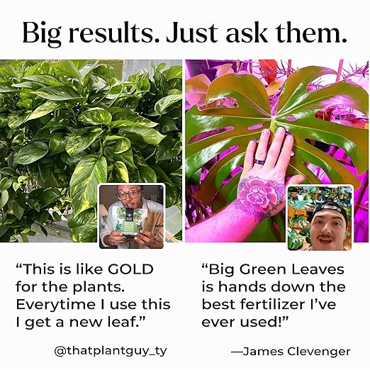 Big Green Leaves Indoor Plant Food – 4X Concentrated Houseplant Fertilizer with Sea Kelp – Makes 90 Gallons – Fast-Acting Mineral Formula Made in USA (1 lb)