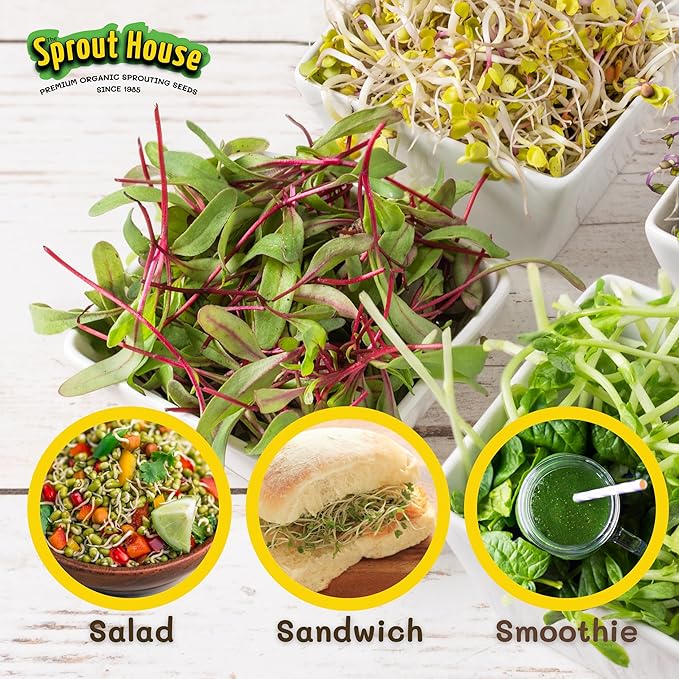 The Sprout House Variety Sample Pack -1.5 LBS of 12 Different Sprouting Seeds - Certified Organic and Non GMO - Includes 2oz of Each