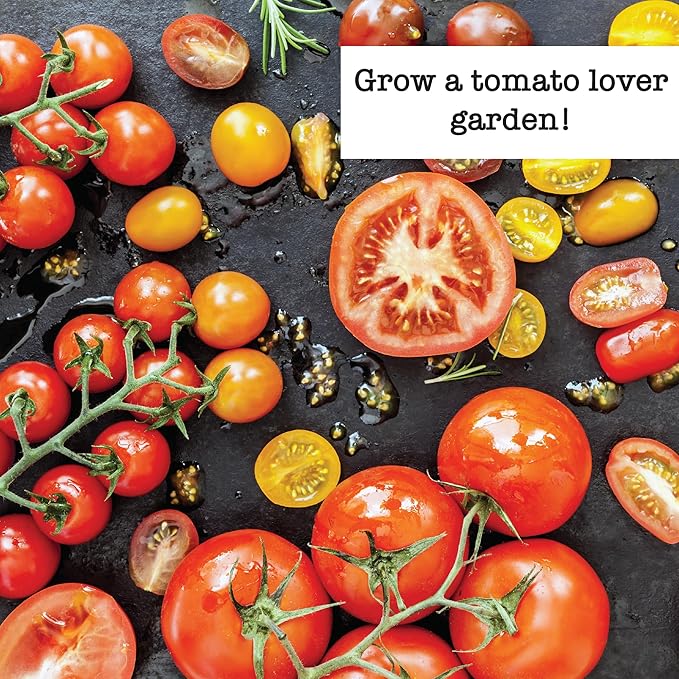 Ferry-Morse Tomato Lover Seed Variety Pack - 10 Pack
