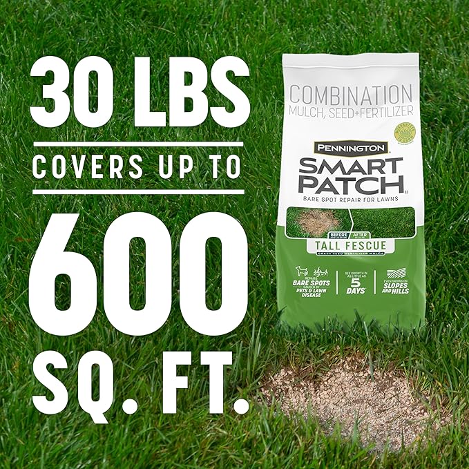 Pennington Smart Patch Tall Fescue 30lb 600 sq. ft. Grass Seed Bare Spot Repair with Mulch and Fertilizer