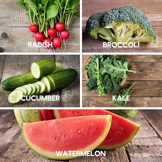10 Assorted Organic Vegetable Seeds for Planting - ~3200 + Heirloom Non-GMO Fruit Seeds Herb Seeds &amp Vegetable Seeds - with Grow Guide - Broccoli Basil Watermelon Cilantro Carrot Kale &am