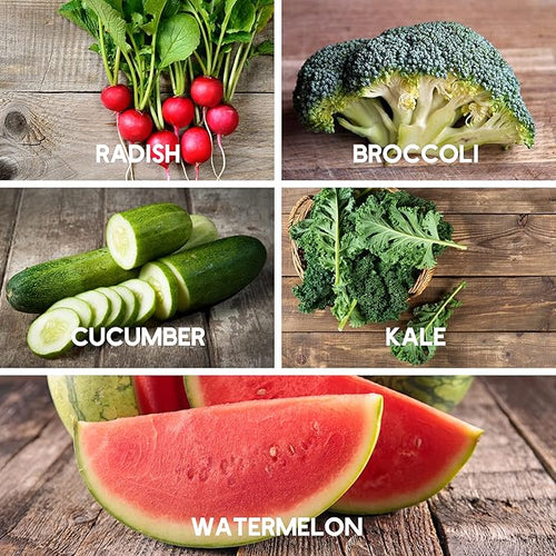 10 Assorted Organic Vegetable Seeds for Planting - ~3200 + Heirloom Non-GMO Fruit Seeds Herb Seeds &amp Vegetable Seeds - with Grow Guide - Broccoli Basil Watermelon Cilantro Carrot Kale &am