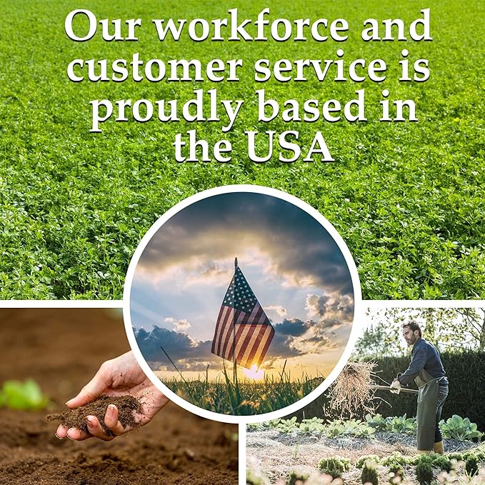 22000 Non GMO Heirloom Vegetable Seeds Survival Garden Emergency Seed Vault 34 VAR Bug Out Bag - Beet Broccoli Carrot Corn Basil Pumpkin Radish Tomato More