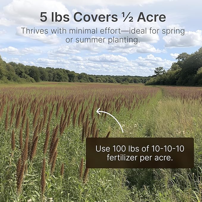 Hit List Seed® Grain Sorghum Food Plot Seeds for Deer [Annual Mix] - Deer Food Plot Seed - Sorghum Seeds for Planting - Deer Plot Seed Mix - 100% Grain Sorghum - Summer &amp Spring Planting - 5 lbs