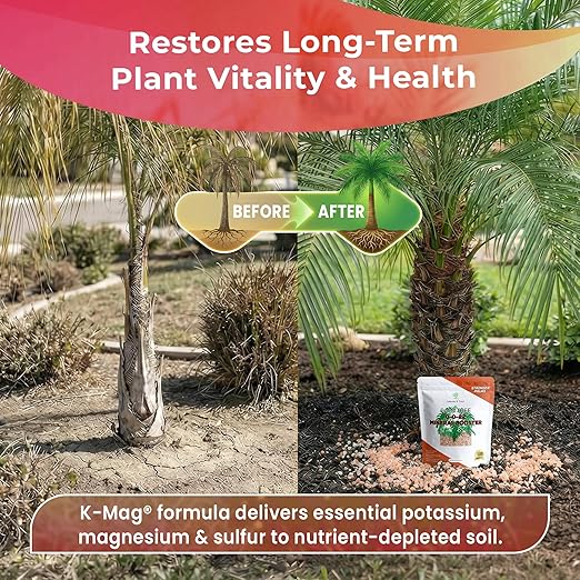 Leaves and Soul Palm Tree Mineral Booster - Granular 0-0-22 Blend - Fertilizer with Essential Nutrients for Outdoor Palms Citrus Trees &amp Tropical Plants - 5 lbs