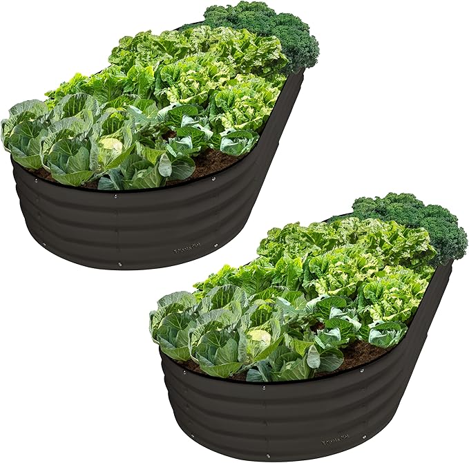 Plant &amp Plot Galvanized Raised Garden Beds Outdoor // 8×4×1 ft (2-Pack) Planter Raised Beds for Gardening Vegetables Flowers // Large Metal Garden Box // Patented Tool-Free Design (Black)