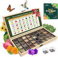 Lush&ampDew Year-Round USDA Zone 4 Seed Bank 32 Varieties Non-GMO Heirloom Seeds of Vegetables Herbs Gardening Gifts for Women Men Emergency Survival Kit for Raised Garden Bed Greenhouse