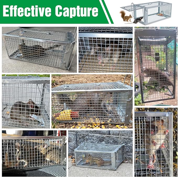 4 Packs Humane Rat Trap Outdoor Wanqueen Humane Mouse Traps Indoor for Home Small Rodent Chipmunk Squirrel Trap and Other Live Animal Cage Catch and Release