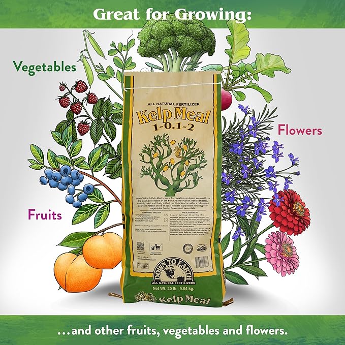 Down To Earth All Natural Kelp Meal 1-0.1-2-20 lb 01966 1966 1966
